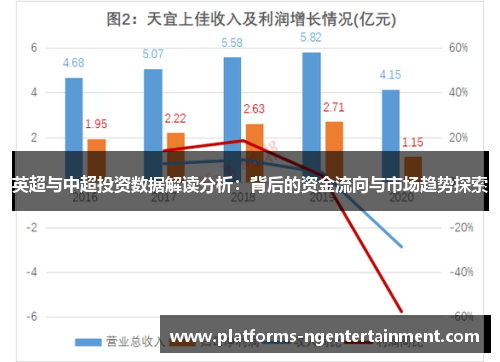 英超与中超投资数据解读分析:背后的资金流向与市场趋势探索 英超与中超投资数据解读分析:背后的资金流向与市场趋势探索
