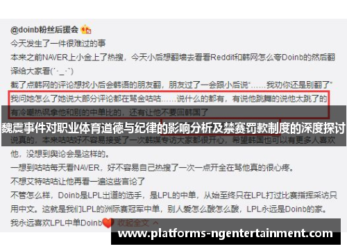 魏震事件对职业体育道德与纪律的影响分析及禁赛罚款制度的深度探讨